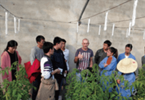 現代農業信息化與農業信息咨詢的協同發展