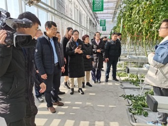 2020年青島市“冬季農(nóng)技暖陽(yáng)行動(dòng)”啟動(dòng) 設(shè)施農(nóng)業(yè)新技術(shù)現(xiàn)場(chǎng)觀摩會(huì)成功舉辦