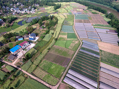 深耕縣域金融沃土 以農業信息咨詢為支點撬動鄉村振興